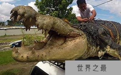 普鲁斯鳄，咬合力竟比霸王龙还大(均重18吨)