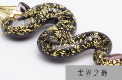 看家蛇,世界上都有那些神奇的蛇类