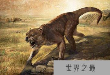 史前巨兽袋狮：比狮子更加可怕的掠食霸王