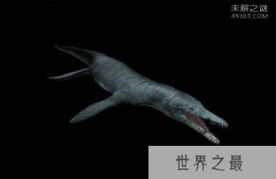 看完这十大史前深海怪物，深海恐惧症治不好了！