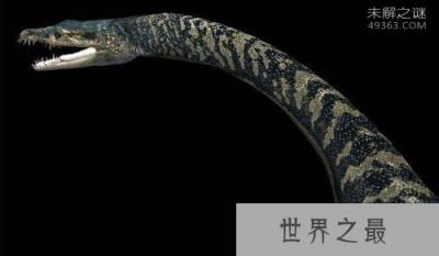 看完这十大史前深海怪物，深海恐惧症治不好了！