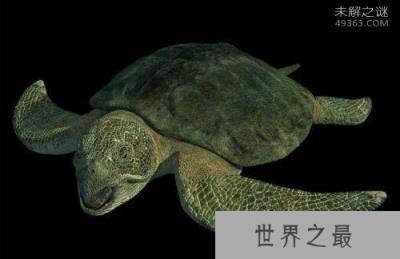 看完这十大史前深海怪物，深海恐惧症治不好了！