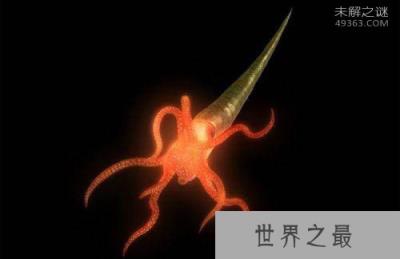 看完这十大史前深海怪物，深海恐惧症治不好了！