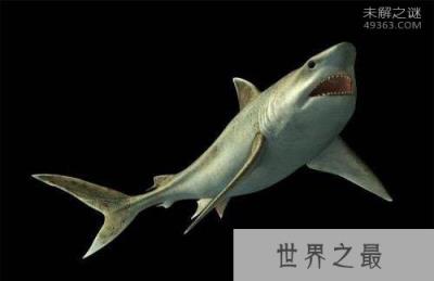 看完这十大史前深海怪物，深海恐惧症治不好了！