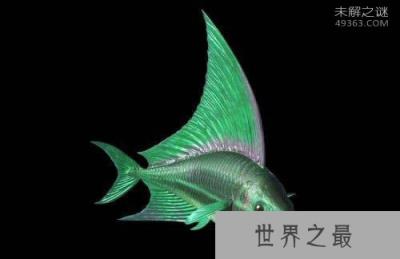 看完这十大史前深海怪物，深海恐惧症治不好了！