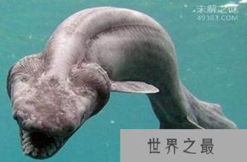 看完这十大史前深海怪物，深海恐惧症治不好了！