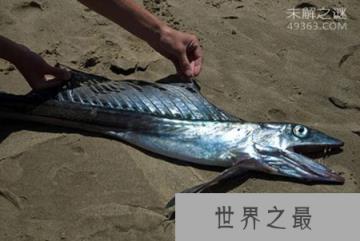 看完这十大史前深海怪物，深海恐惧症治不好了！