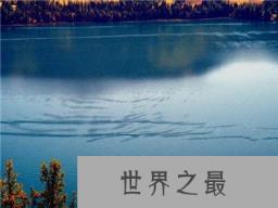 巨型哲罗鲑:喀纳斯湖水怪是巨型哲罗鲑