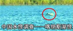 巨型哲罗鲑:喀纳斯湖水怪是巨型哲罗鲑