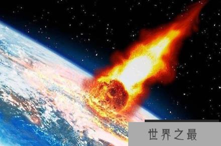 蜜蜂灭绝或引发多米诺效应导致第六次大灭绝