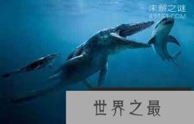龙王鲸才是海洋霸主，灭绝的远古海洋巨兽