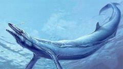 龙王鲸才是海洋霸主，灭绝的远古海洋巨兽