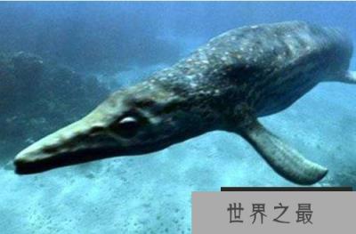 杯椎鱼龙，靠尖牙利齿统治三叠纪海洋