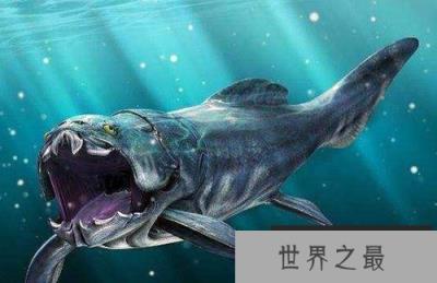 邓氏鱼巨齿鲨沧龙谁最强？盘点十大远古海洋猛兽
