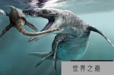 邓氏鱼巨齿鲨沧龙谁最强？盘点十大远古海洋猛兽