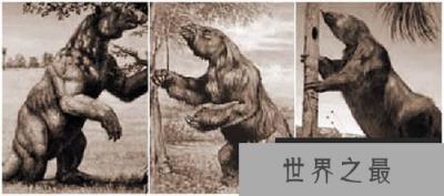 最有望复活的物种名单 恐龙无望