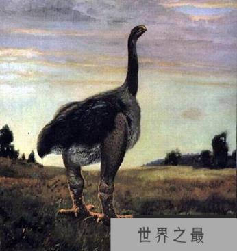 最有望复活的物种名单 恐龙无望