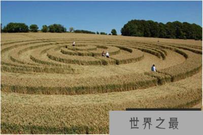 麦田怪圈真相终揭开：外国人的恶作剧