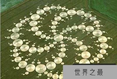 麦田怪圈真相终揭开：外国人的恶作剧