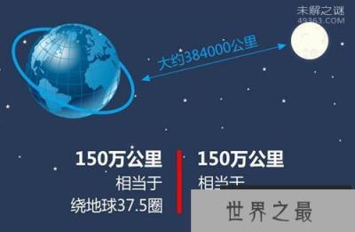北极燕鸥一生飞行150多万公里(绕地球40圈)