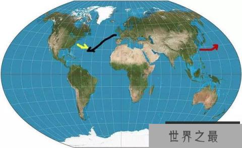 鳝鱼最近很火，它是怎么交配的?不远万里跑到奇怪的地方交配