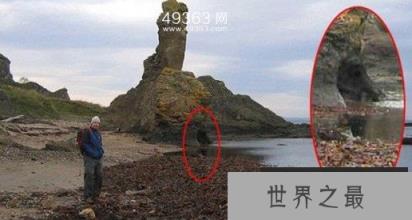 吸血怪兽卓柏卡布拉 美洲神秘吸血兽真相大白