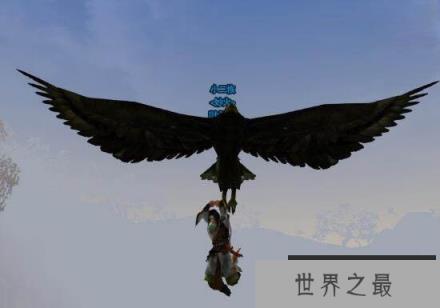 史前巨兽杀人鹰 成年人也是它猎捕的对象