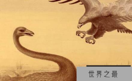 史前巨兽杀人鹰 成年人也是它猎捕的对象