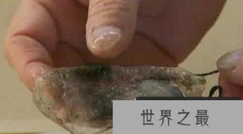 神秘海洋怪物:从透明虾到巨型大王乌贼