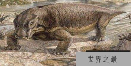 恐龙之前的地球霸主和猪相似？ 不敢相信！