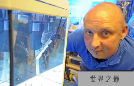 博比特虫藏缸底10年竟不知 它到底是从哪来的？