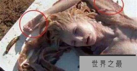 美国海军捉活一条美人鱼！古籍中多见记载它们的存在