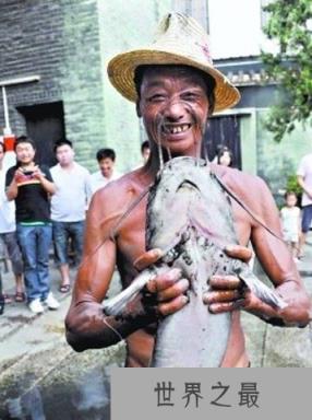 全世界令人震惊的巨型鱼：英国人非洲捕获巨型食人鱼