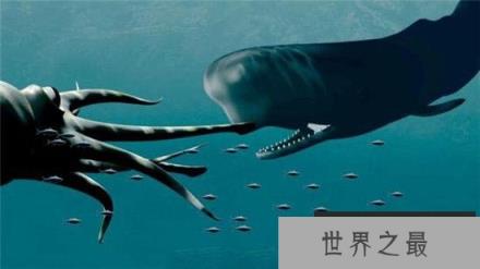 “挪威海怪”深海巨型怪鱼！竟能长到20米