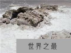 海中巨魔利维坦鲸 盘点史前十大巨型怪物