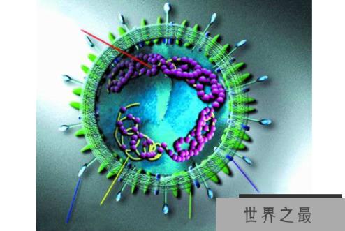世界破坏力最强的十大病毒 埃博拉位列第一，天花上榜
