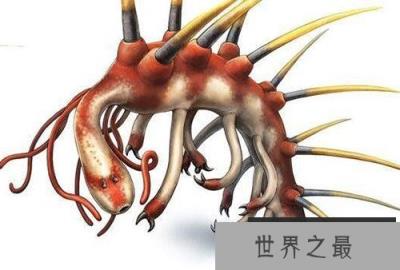 怪诞虫的进化历程，竟从不死虫开始?