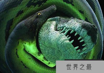 地球史上最大的蛇，塞雷洪泰坦蟒以鳄鱼为食