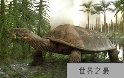 地球史上最大的蛇，塞雷洪泰坦蟒以鳄鱼为食