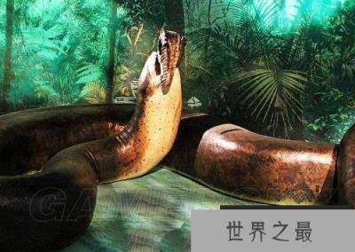 地球史上最大的蛇，塞雷洪泰坦蟒以鳄鱼为食