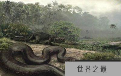 地球史上最大的蛇，塞雷洪泰坦蟒以鳄鱼为食