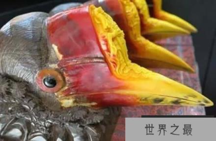 灰犀鸟从6000只到灭绝仅有一步之遥!