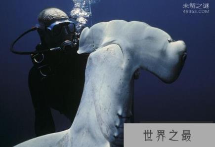 奇特的锤头鲨拥有全角度的视野