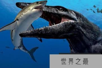 震惊世界的完整版上龙化石“海怪”