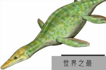 长3米“微型”上龙科生物：泥泳龙体型最小的上龙