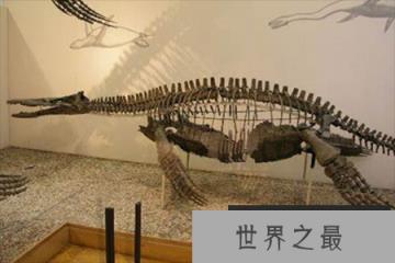 长3米“微型”上龙科生物：泥泳龙体型最小的上龙