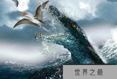 海洋中的高级掠食者：上龙捕食猎物迅猛绝伦