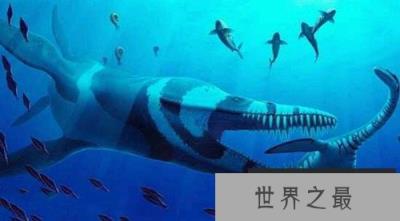 最新发现被称“海洋霸王龙”的新物种 命为科万上龙