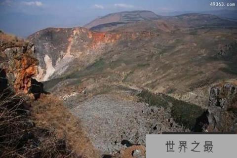 死亡植物或揭示地震如何发生和停止