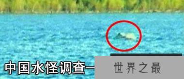 喀纳斯湖水怪之谜